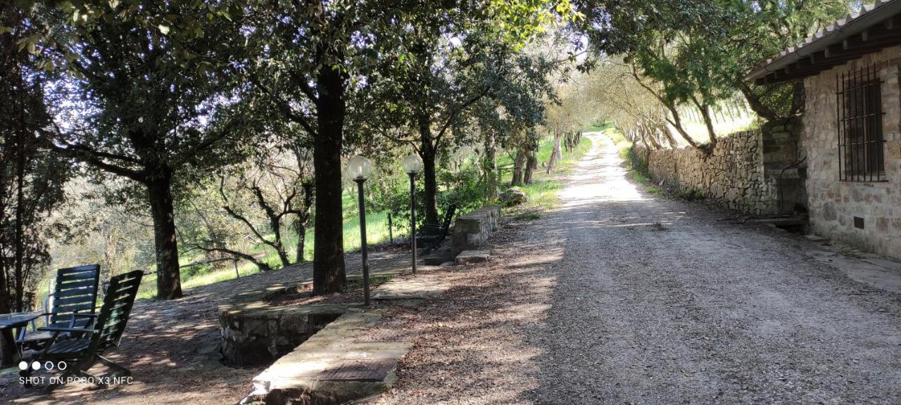 Bauernhof Fattoria Il Milione