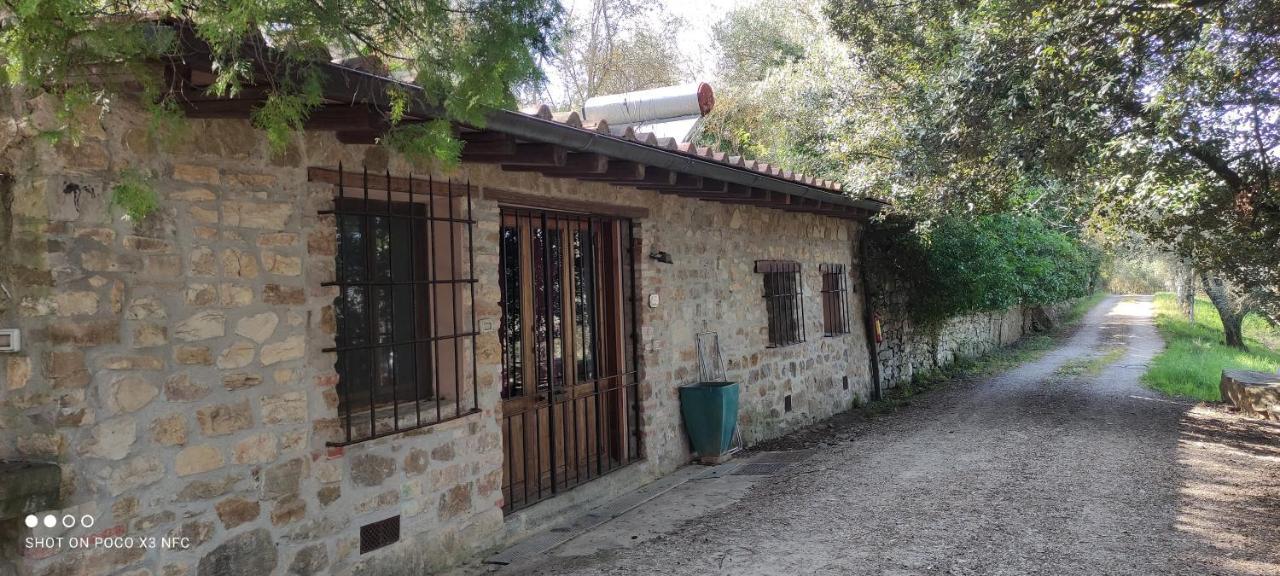 Bauernhof Fattoria Il Milione *