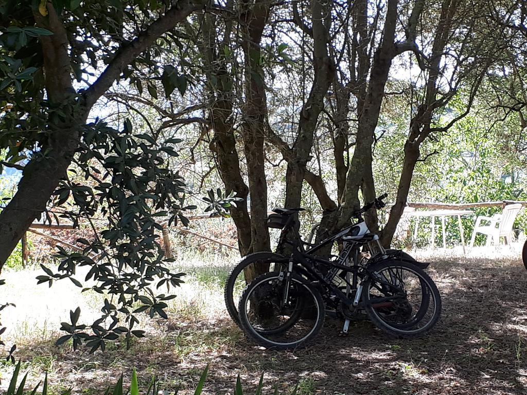 Bauernhof Fattoria Il Milione