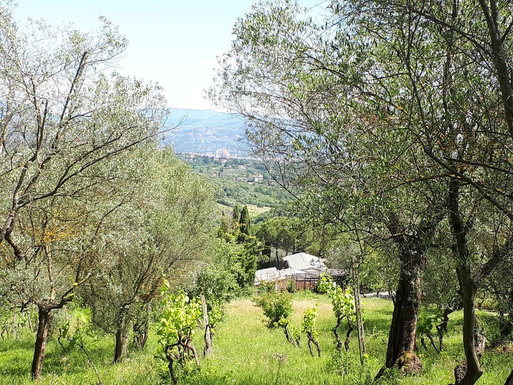 Fattoria Il Milione Bauernhof